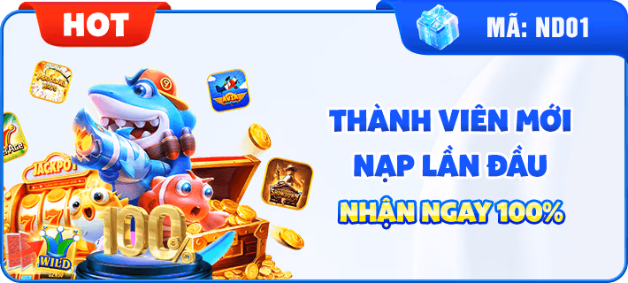 Thành Viên Mới Nạp Lần Đầu Nhận Ngay 100%